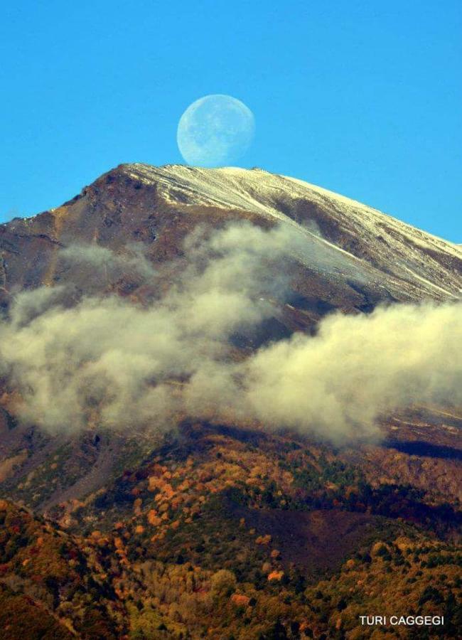 Guest House Le Ginestre Dell'Etna Belpasso Exterior foto